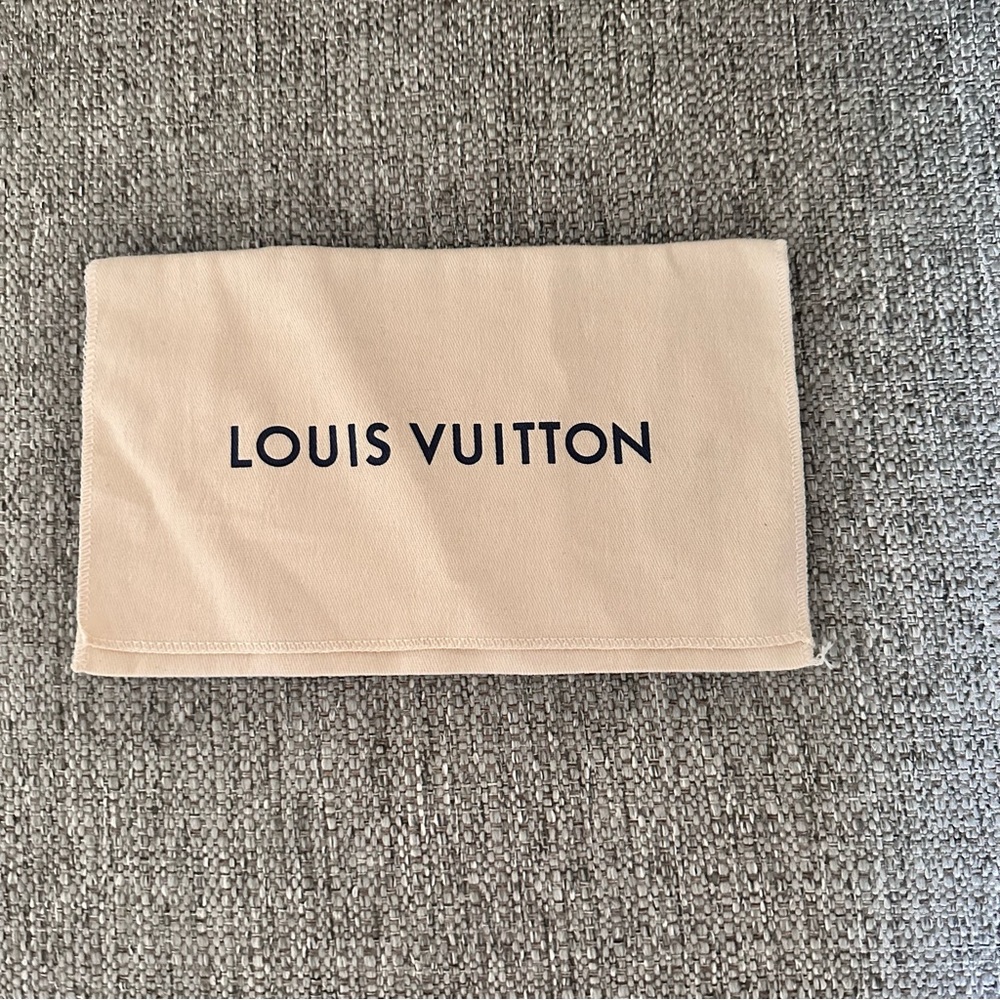 EUC SMALL LOUIS VUITTON ENVELOPE DUST BAG
